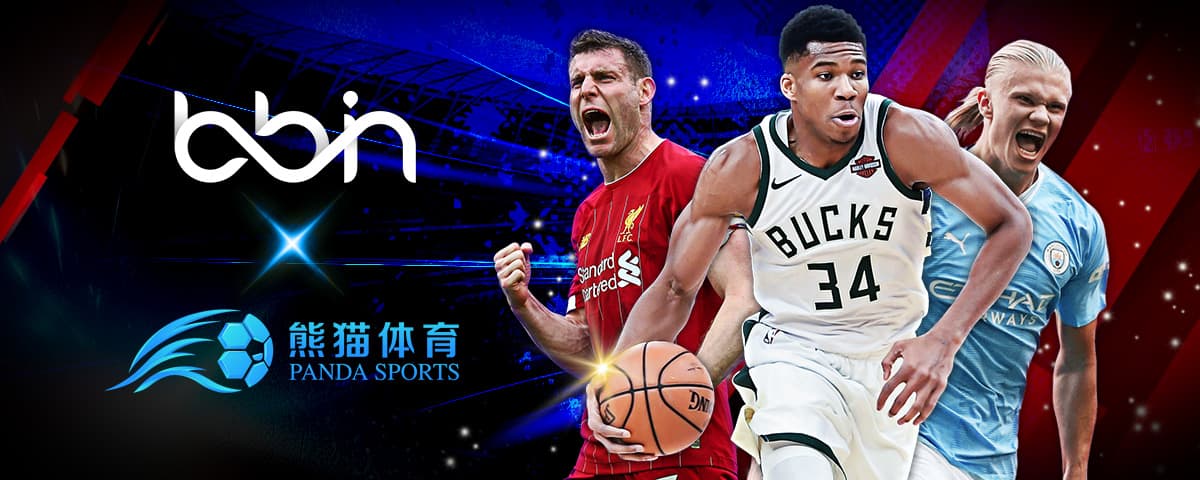们后防的坚